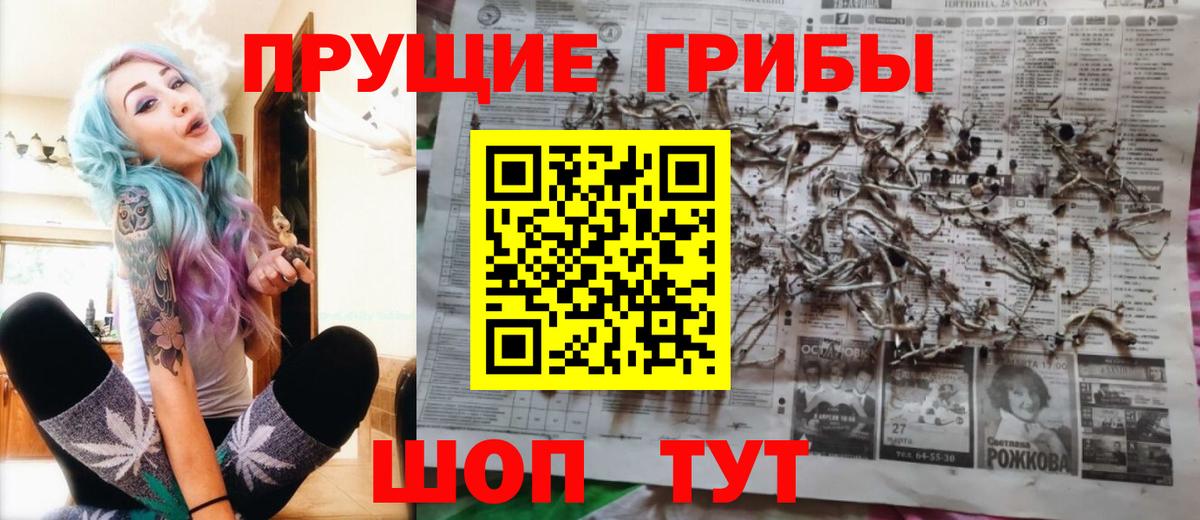 Псилоцибиновые грибы Magic Shrooms Кольчугино