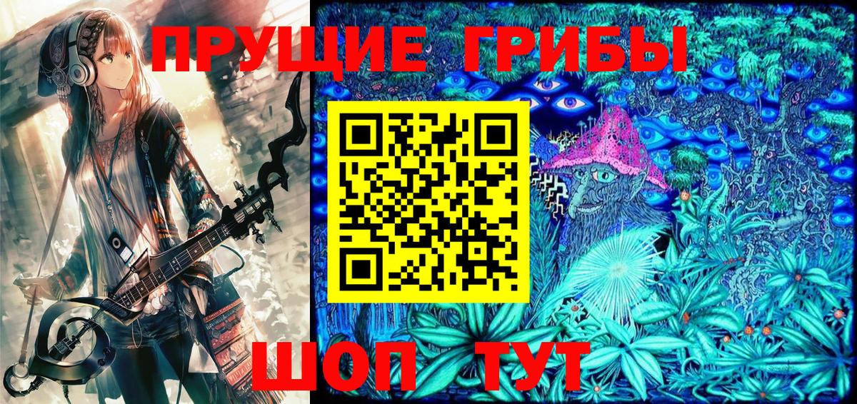 Галлюциногенные грибы Psilocybe  Вход с VPN  Кольчугино 